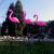 Lampa solara pentru gradina, 3 flamingo, 18x6x52 cm, Strend Pro GartenVIP DiyLine