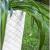 Ghiveci de flori MATUBA slim, 40x78 cm, alb, Prosperplast GartenVIP DiyLine