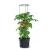 Ghiveci cu suport tip sera pentru rosii, 21 piese, 29.5x24.5x1152cm, Prosperplast GartenVIP DiyLine