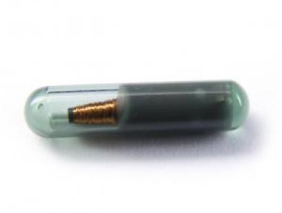 Cip Auto ID 48 VW Can AutoProtect KeyCars