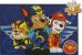 PATRULA CATELUSILOR PUZZLE 4IN1 DIN LEMN SuperHeroes ToysZone