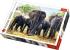 PUZZLE TREFL 1000 ELEFANTI AFRICANI SuperHeroes ToysZone