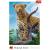 PUZZLE TREFL 500 LEOPARD IN SAVANA SuperHeroes ToysZone