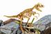 Experimentele micului geniu - Kit paleontologie T-Rex PlayLearn Toys