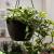 Ghiveci decorativ cu lant, Prosperplast, Rato Round, rotund, maro, 24.3x16 cm GartenVIP DiyLine
