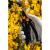 Manusile de lucru marimea 10" din poliester cu PU, 4X43D NEO TOOLS 97-609-10 HardWork ToolsRange