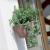 Ghiveci decorativ cu lant, Prosperplast, Ratolla, rotund, cafeniu, 24.3x16 cm GartenVIP DiyLine