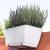 Jardiniera decorativa, Prosperplast, imitatie ratan, suport, alba, 49.2x17.2x17.4 cm GartenVIP DiyLine