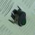 Intrerupator auto Carpoint 12V 30A cu led Verde , 31,20 x 20,00 mm AutoDrive ProParts