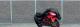 Prelata motocicleta Carpoint 245x80x145cm , PVC , cu fereastra numar imatriculare AutoDrive ProParts