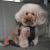 Centura siguranta animale de companie cu ham Pets Travel , marime S 30-60cm Lesa AutoDrive ProParts