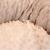 Culcus moale cu perna, pentru caine/pisica, Model Minky, culoare crem-maro, impermeabil, baza antiderapanta, 50 cm FAVLine Selection