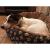 Culcus moale cu perna, pentru caine/pisica, culoare gri, impermeabil, baza antiderapanta, 50 cm FAVLine Selection