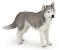 PAPO FIGURINA HUSKY SIBERIAN SuperHeroes ToysZone