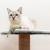 Ansamblu de joaca pentru pisici, Purlov, cu platforme si ciucure, gri si bej, 44x34x71 cm GartenVIP DiyLine