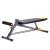 Banca Forta HMS PREMIUM LSR8311 FitLine Training