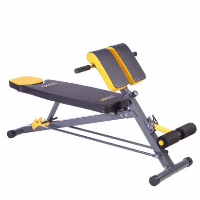 Banca Forta HMS PREMIUM LSR8311 FitLine Training