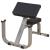 GPCB329 Curl Bench FitLine Training