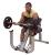 GPCB329 Curl Bench FitLine Training