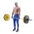 Curele de ridicare HMS F4433 FitLine Training