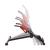 Banca Hiperextensie HMS LR8310 FitLine Training