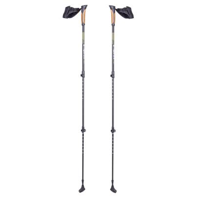 Bete Nordic Walking inSPORTline Slogen FitLine Training