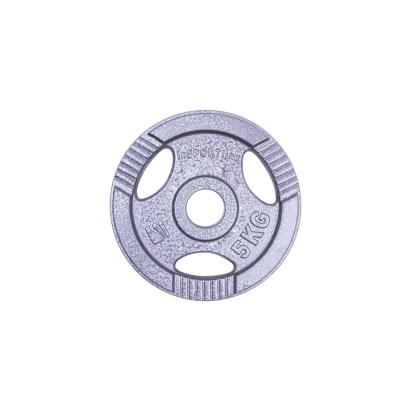 Greutate fier inSPORTline Hamerton 5 kg/31mm FitLine Training