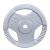 Greutate haltera Hammerton Sportmann 10 kg/31mm FitLine Training