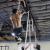 Franghie inSPORTline Wave Rope 5cm x 15m FitLine Training