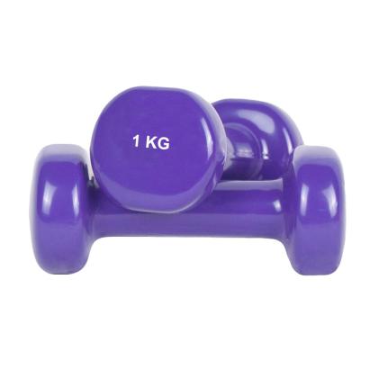 Gantere vinyl 2x1kg FitLine Training