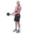 Ham biceps HMS ABX02 FitLine Training