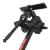Masa Inversie inSPORTline Inverso Ele FitLine Training