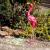 Decoratiune gradina, metalica, flamingo, 14x24x65 cm GartenVIP DiyLine