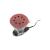 Slefuitor electric excentric rotativ 250W, 125mm Joust Max Cod:DISEU64 Automotive TrustedCars