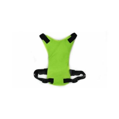 Ham de siguranta caine pentru auto Automotive TrustedCars