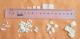 Masina de taitei frunzulite 6x6mm Handy KitchenServ