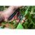 Dispozitiv de legare a plantelor cu 25 m de banda + 200 de capse VERTO 15G455 HardWork ToolsRange