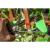 Dispozitiv de legare a plantelor cu 25 m de banda + 200 de capse VERTO 15G455 HardWork ToolsRange