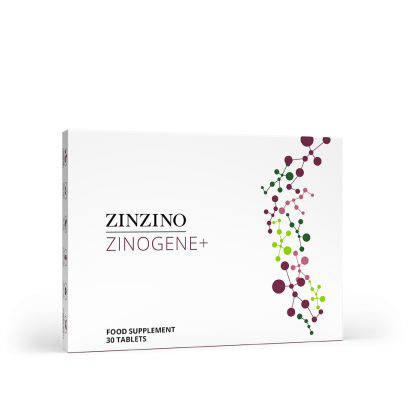 ZinoGene+ Best CarHome