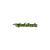 Abtibild "Hotwheels" diverse culori Cod: YGT Automotive TrustedCars