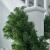 Ghirlanda decorativa luxury pine din crengi de brad artificial, lungime 5.4 m, ace 3d, decor craciun MultiMark GlobalProd