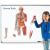 Corpul uman - set magnetic PlayLearn Toys