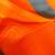 Vesta reflectorizanta omologata RoGroup, portocalie Automobile ProTravel