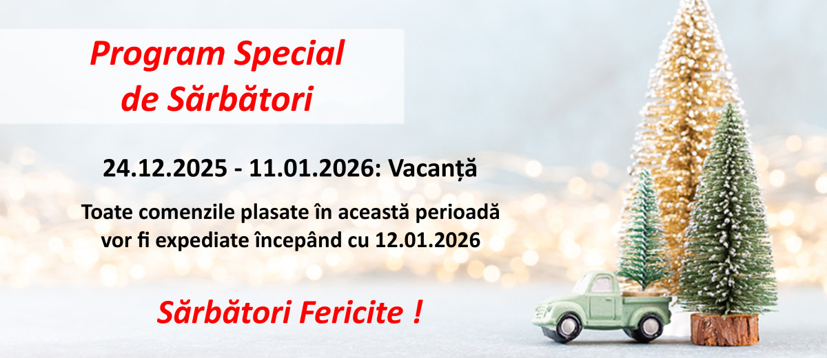 Brazi Artificiali de Craciun