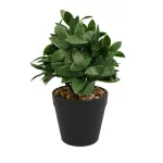 Aranjament In Ghiveci, Verde, Plastic, 20Cm ComfortTravel Luggage