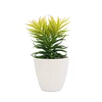 Planta Suculenta In Ghiveci, Alb, Plastic, 19Cm ComfortTravel Luggage