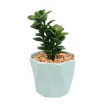 Planta Suculenta In Ghiveci, Gri, Plastic, 16Cm ComfortTravel Luggage