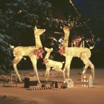 Decorațiune de Crăciun familie reni, 201 LED-uri, auriu  GartenMobel Dekor