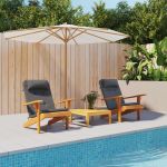 Perne scaun Adirondack, 2 buc, antracit, țesătură Oxford GartenMobel Dekor