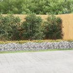 Strat înălțat cu gabion arcuit, 600x100x50 cm, fier galvanizat GartenMobel Dekor